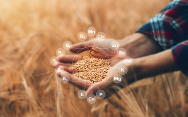 Mikronährstoffe und Vitamine – die Bausteine einer gesunden Ernährung